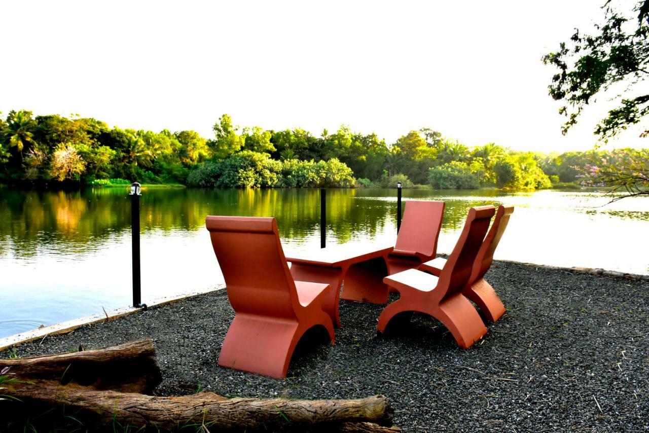 Pelican Lake Uda Walawe Extérieur photo
