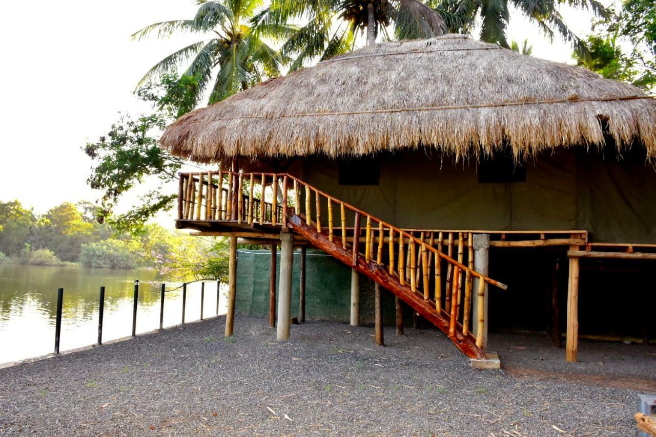 Pelican Lake Uda Walawe Extérieur photo